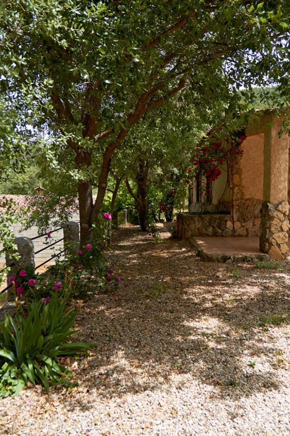 Casas Rurales Amable- Yeste Cortijo Prados Exterior foto